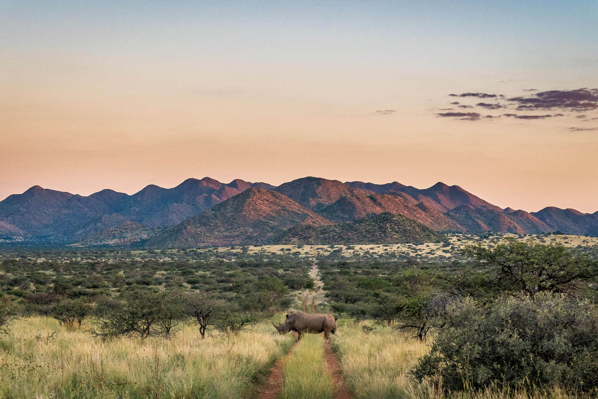 Tswalu Kalahari Reserve, South Africa